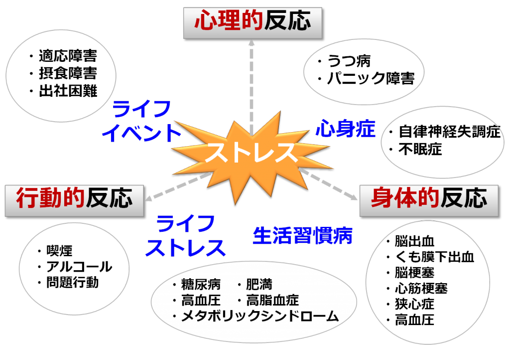 ストレス 反応 急性 精神的ストレスにも種類〜急性ストレスと慢性ストレス〜