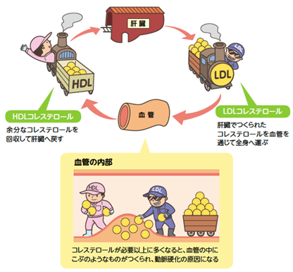 双極性障害と勃起不全