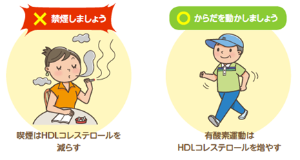 運動 下げる コレステロール を