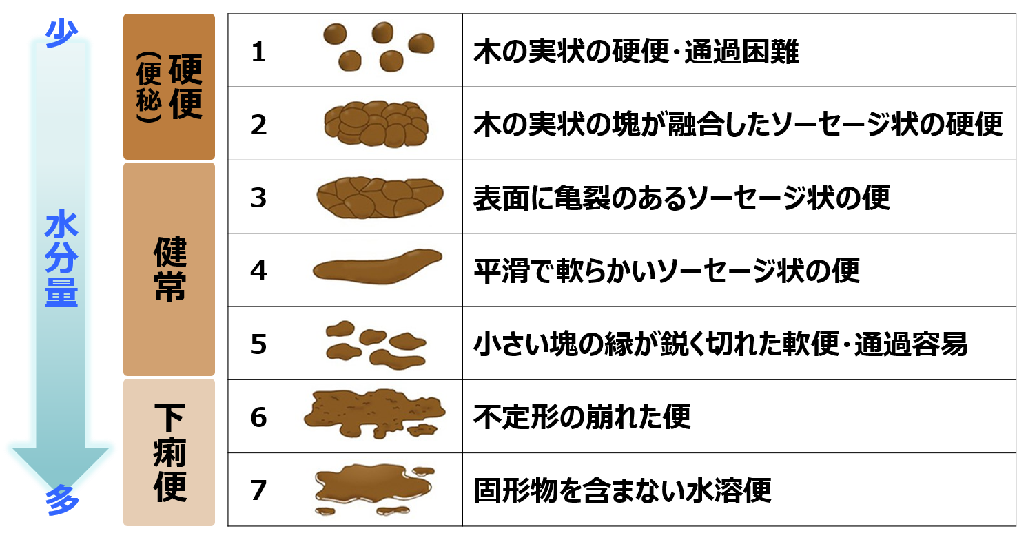 に でない うんこ 痛い お腹 の